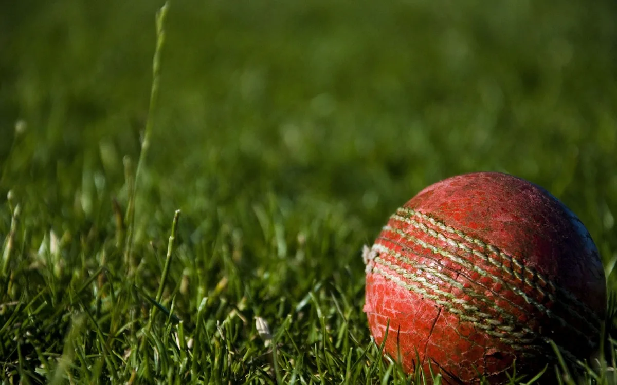 Cricket stadium atmosphere inspiration for AI photo editing